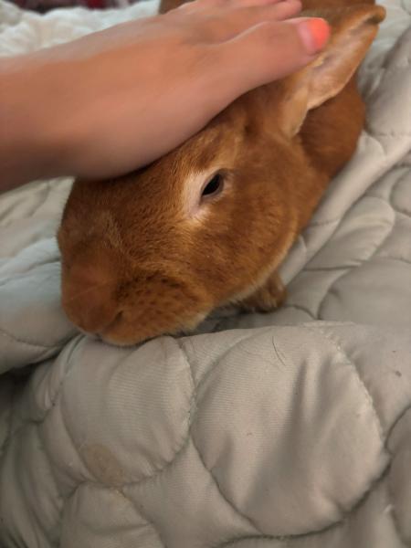 Mine