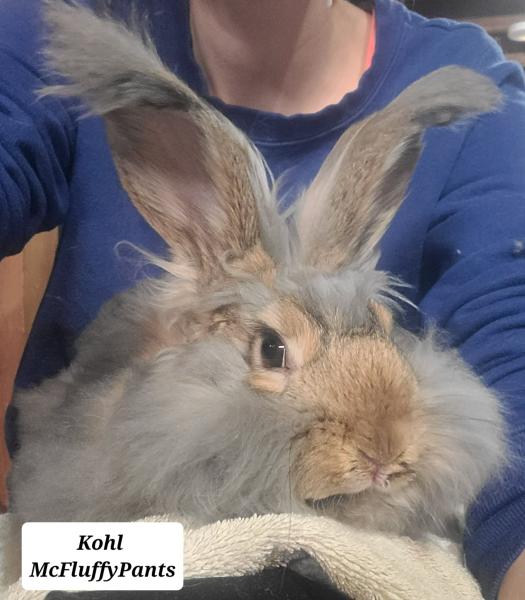Kohl