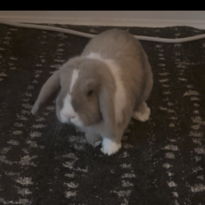Remington